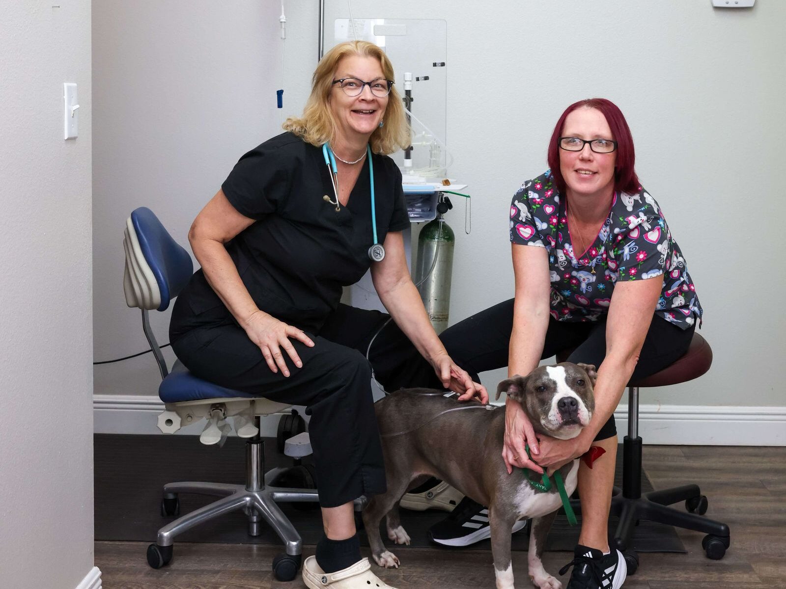 Dr. Kristen Swanson and team member Jen with a canine patient