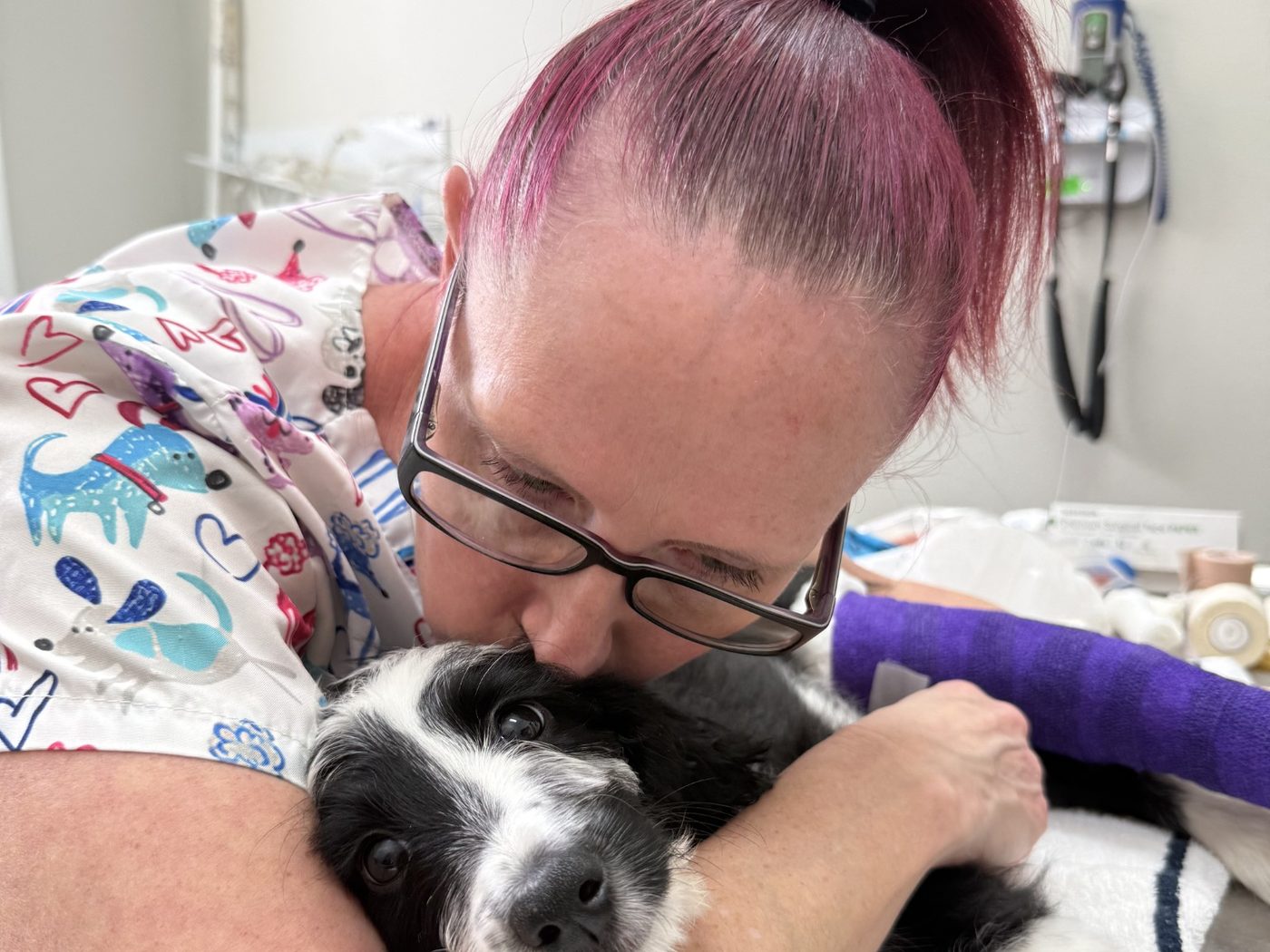 VitalWell team member supporting a dog during surgical recovery